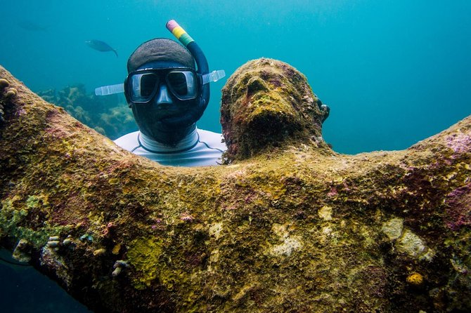 4-hour snorkel cruise to Underwater Sculptures with boat dogs - Lunch, rum punch, and the boat dogs