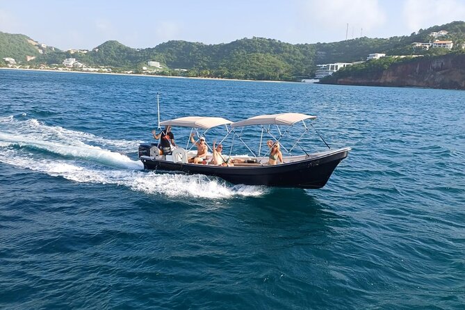 4-hour snorkel cruise to Underwater Sculptures with boat dogs - What the $85 price really includes