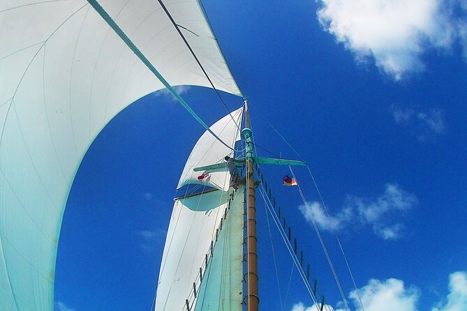 4-hour snorkel cruise to Underwater Sculptures with boat dogs - Timing, meeting point, and practical planning