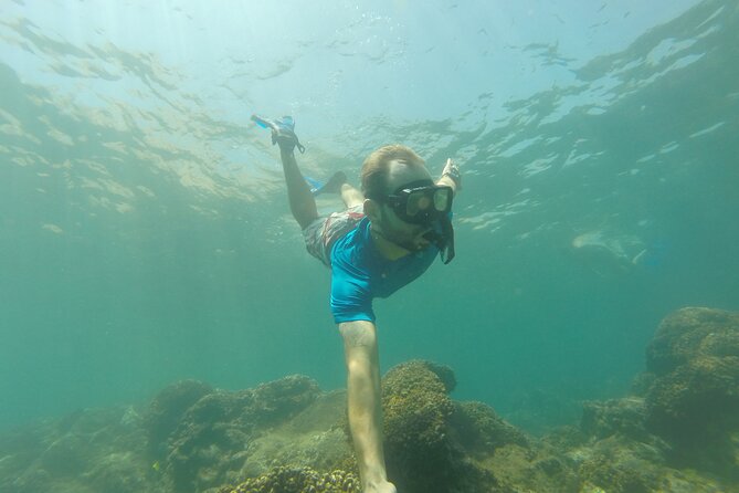 4-Hour Snorkeling Tour in Cabo San Lucas and Corridor - The Arch of Cabo San Lucas and its sea lions