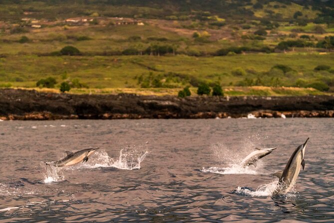 4 Hour Super-Raft Snorkeling Experience in Kailua-Kona - Why the Super-Raft makes sense for a Kona morning