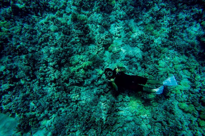 4 Hour Super-Raft Snorkeling Experience in Kailua-Kona - Comfort matters more than you might expect