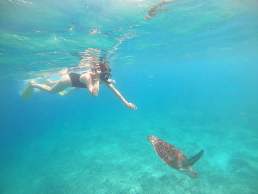 4 Hours Snorkeling 3 Gilis ( Trawangan,Meno, Gili air) - Finding the harbor meeting point