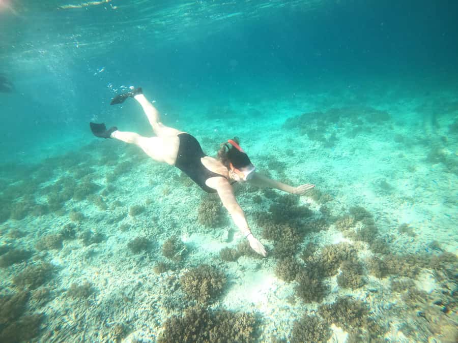 4 Hours Snorkeling 3 Gilis ( Trawangan,Meno, Gili air) - A quick look at Gili Air