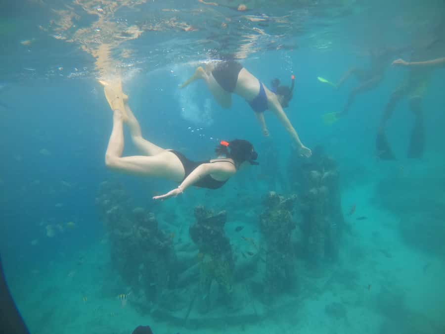 4 Hours Snorkeling 3 Gilis ( Trawangan,Meno, Gili air) - What the $13 price really covers