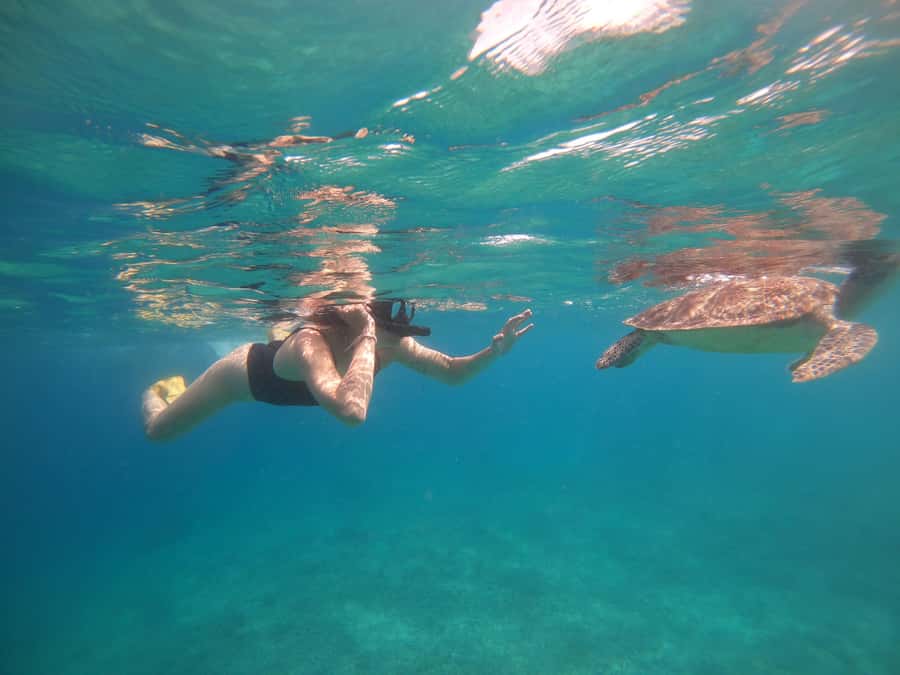 4 Hours Snorkeling 3 Gilis ( Trawangan,Meno, Gili air) - Who will enjoy this outing most