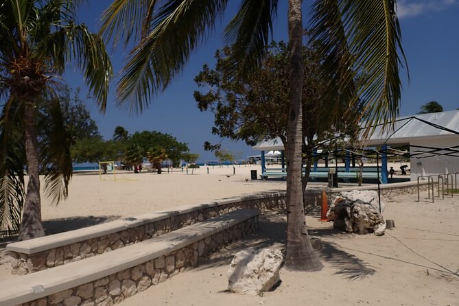 4-Stop Stingray, Snorkel, Star Fish & 7 Mile Beach (Family Owned) - Should You Book It?