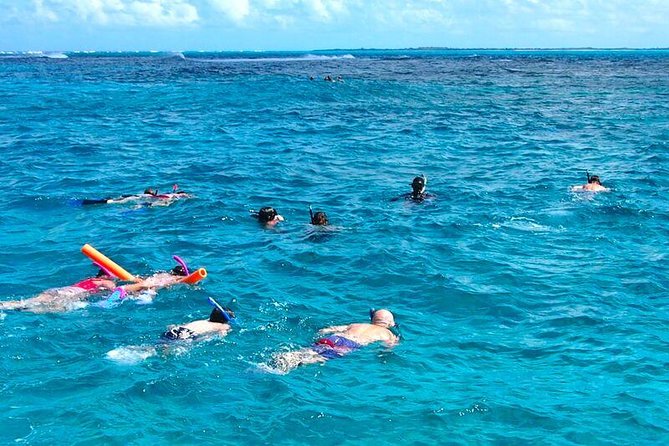 4hour Group Half Day Snorkeling Excursion in Grace Bay - A four-hour catamaran trip from Grace Bay