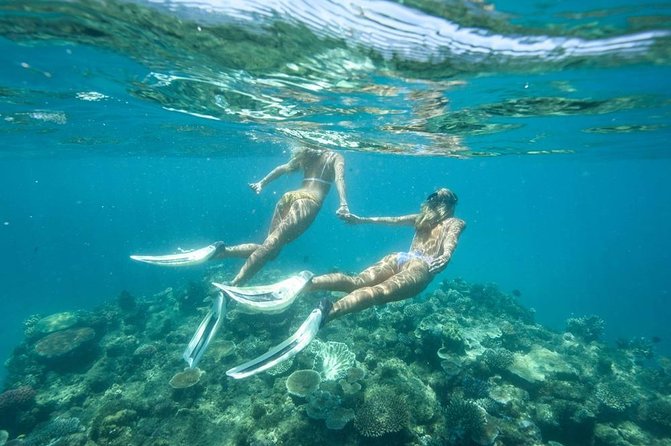 5-in-1 Adventure in Cancun: ATVs, Ziplines, Speed Boat, Snorkel and Cenote Swim - Six ziplines, plus the most entertaining water entry