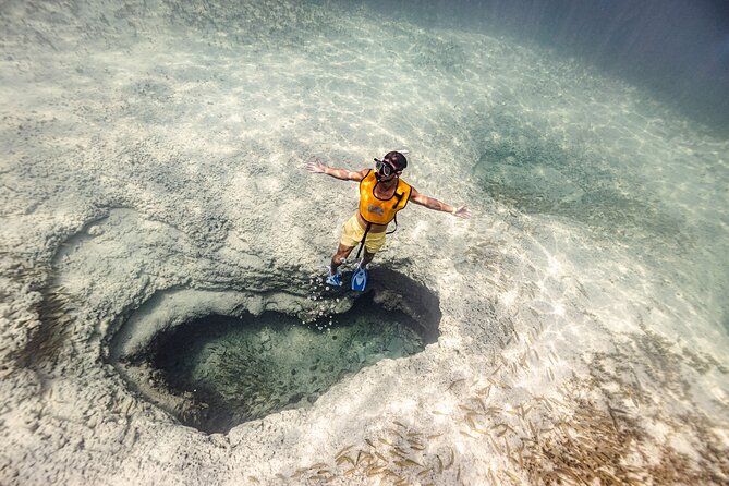 5-in-1 Cancun Snorkeling Tour with Sea Life & Transport Included - Five quick reasons to consider this Cancun trip