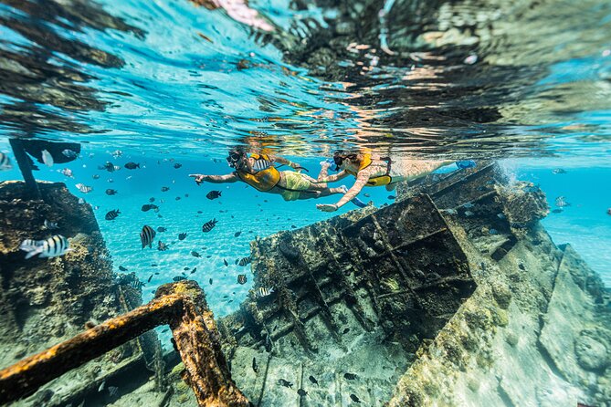 5-in-1 Cancun Snorkeling Tour with Sea Life & Transport Included - Turtle time is the wildlife highlight