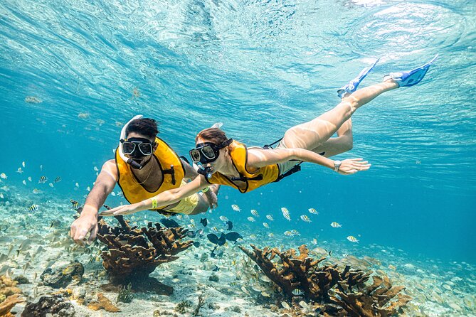 5-in-1 Cancun Snorkeling Tour with Sea Life & Transport Included - The cenote gives the final stop a different feel