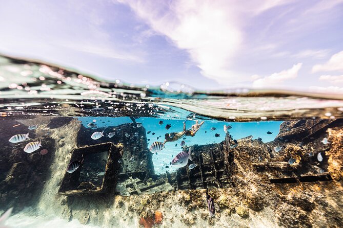 5-in-1 Cancun Snorkeling Tour with Sea Life & Transport Included - Small groups make a difference in the water