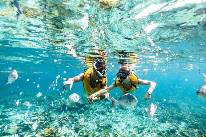 5-in-1 Cancun Snorkeling Tour with Sea Life & Transport Included - Timing, weather, and the pace of the route