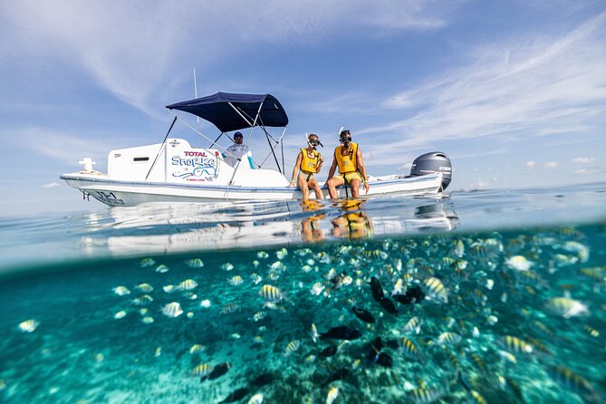 5-in-1 Cancun Snorkeling: Turtles, Reef, Musa, Shipwreck, Cenote - What this Cancun snorkeling tour actually includes