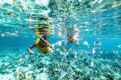 5-in-1 Cancun Snorkeling: Turtles, Reef, Musa, Shipwreck, Cenote