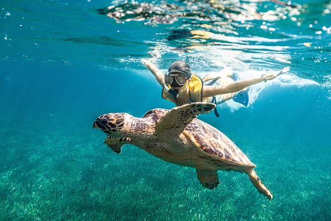 5-in-1 Cancun Snorkeling: Turtles, Reef, Musa, Shipwreck, Cenote - MUSA statues beneath the surface