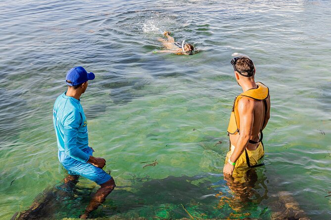 5-in-1 Cancun Snorkeling: Turtles, Reef, Musa, Shipwreck, Cenote - Swimming near sea turtles and possible rays