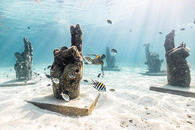 5-in-1 Cancun Snorkeling: Turtles, Reef, Musa, Shipwreck, Cenote - Guides, boats, and the human side of the trip