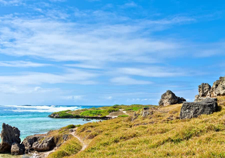 5 Islands Boat Trip, Snorkeling and Lunch on Ile aux Cerfs - Ile aux Aigrettes and Mauritius’s native wildlife