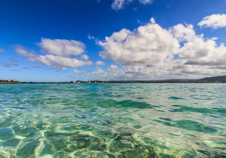 5 Islands Boat Trip, Snorkeling and Lunch on Ile aux Cerfs - Blue Bay Marine Park and the snorkeling stop