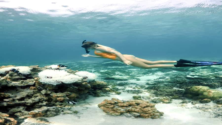 5 Islands Private Speedboat w/ Snorkeling + Lunch & Drinks - Snorkeling in Blue Bay Marine Park