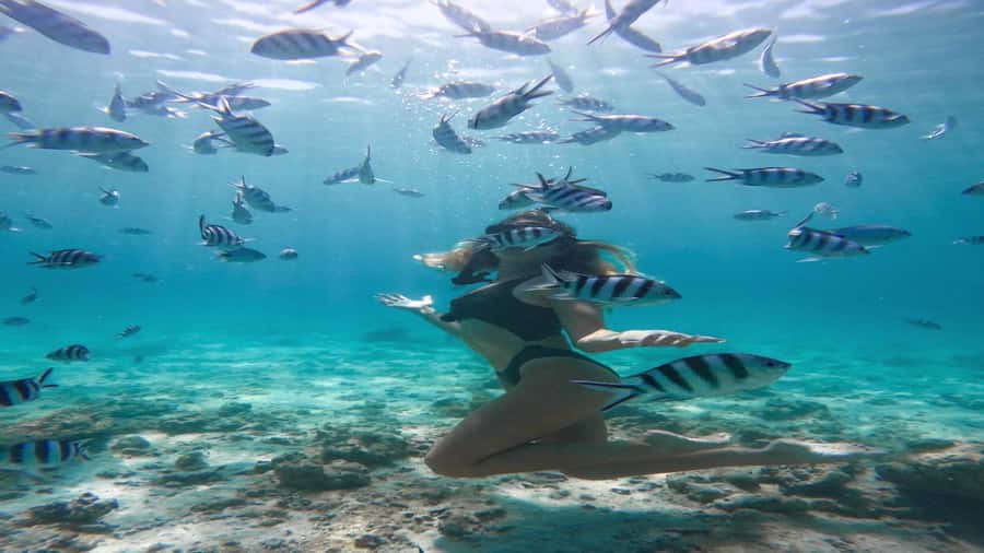 5 Islands Private Speedboat w/ Snorkeling + Lunch & Drinks - Two hours at Ile aux Cerfs