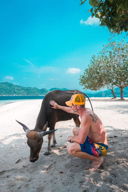 5 Secret Gili Boat Trip & Snorkeling in Southwest Of Lombok - Who should book this island day