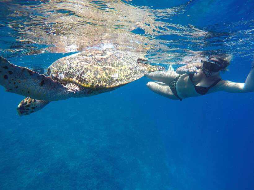 5 Secret Gili Boat Trip & Snorkeling in Southwest Of Lombok - Gili Layar and Gili Rengit: the main snorkeling water