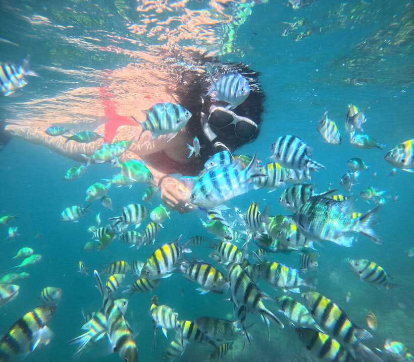 5 Secret Gili Boat Trip & Snorkeling in Southwest Of Lombok - What the $83 price really covers