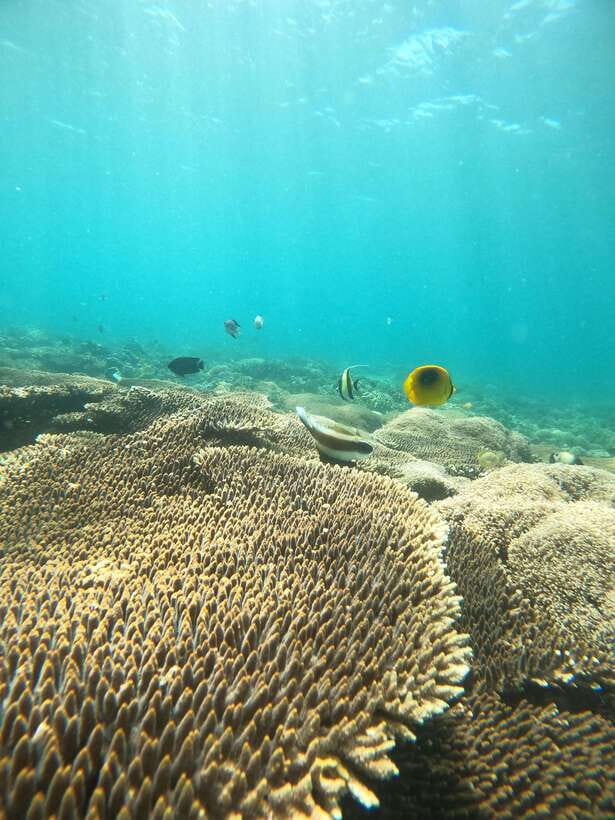 5 Secret Gili Boat Trip & Snorkeling in Southwest Of Lombok - Practical advice for a safer, better day