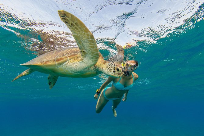 50' Luxury Yacht. Private Full or Half Day Catamaran Snorkel, & Beach Experience - What to expect at the St. Thomas stops