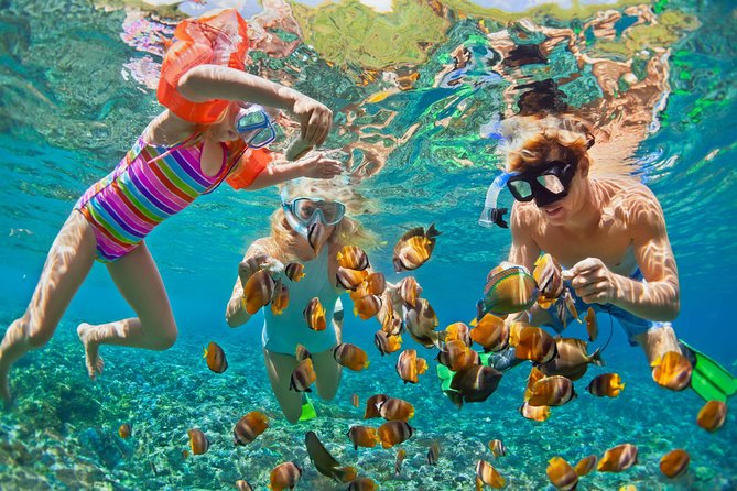 50' Luxury Yacht. Private Full or Half Day Catamaran Snorkel, & Beach Experience - Choosing between a half-day and full-day charter