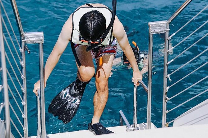 9am Turtle Canyon Snorkel Adventure - What snorkeling at Turtle Canyon is really like