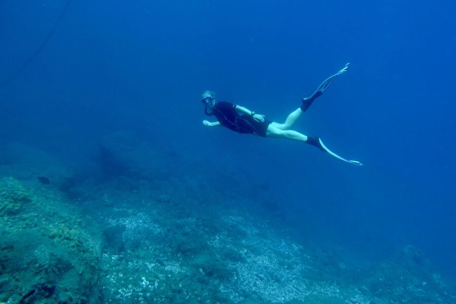 Abades: Guided Snorkeling Tour with Photos - Exploring the volcanic reef close to shore