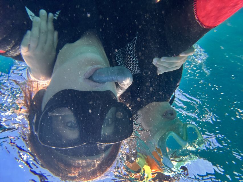 Abades: Guided Snorkeling Tour with Photos - Why beginners and families often fit well