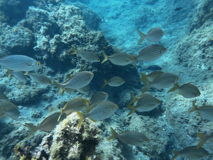 Abades: Guided Snorkeling Tour with Photos - Photos and videos make the $35 price stronger