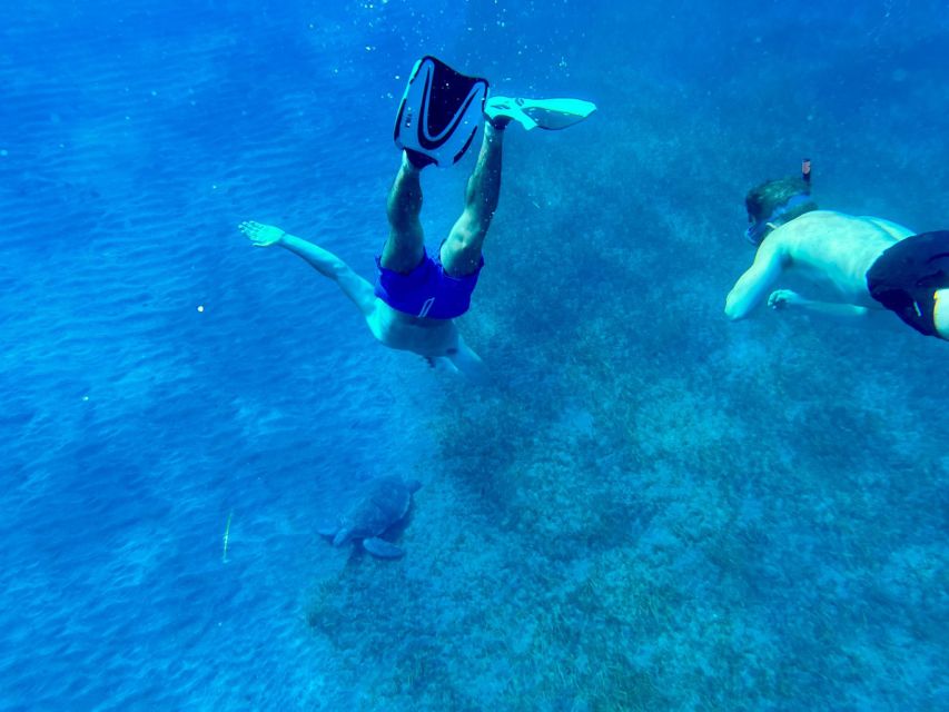 Abades: Guided Snorkeling Tour with Photos - What the two-hour schedule feels like