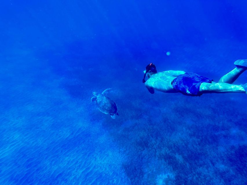 Abades: Guided Snorkeling Tour with Photos - Getting ready with wetsuits and proper equipment