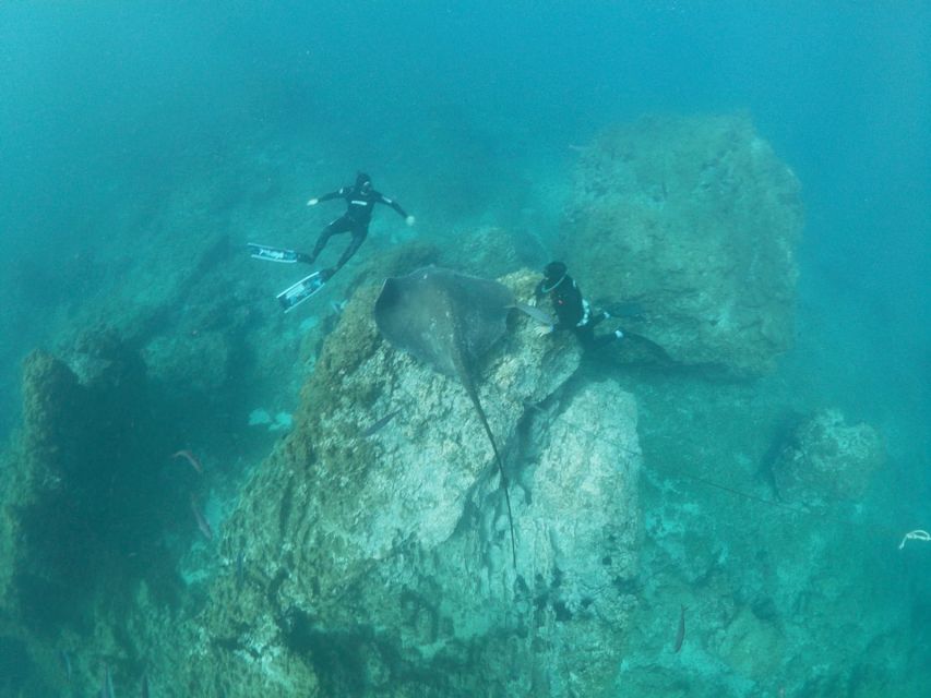 Abades: Tenerife Turtles and Rays Snorkeling Trip - Choosing between Abades, Alcalá, and Las Galletas