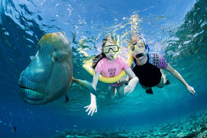 ABC Reef Safaris - Getting fitted for masks, fins, and suits
