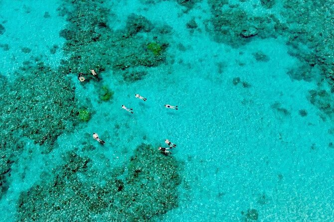 ABC Reef Safaris - Reef Stop Two: more time to find marine life