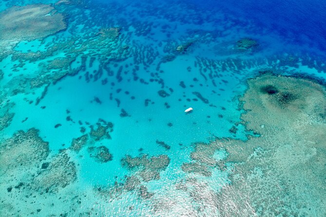 ABC Reef Safaris - Optional first-time scuba
