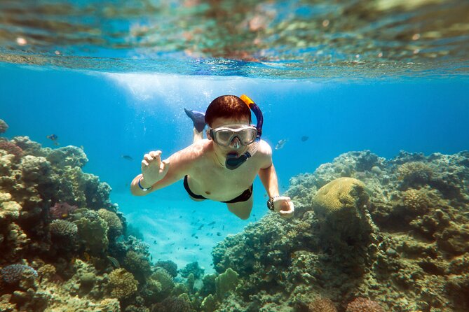 Acapulco Snorkeling Tour - Key points to know before booking