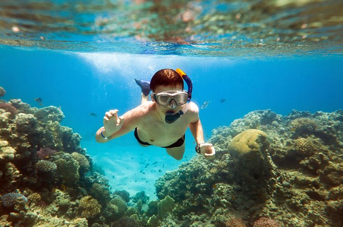 Acapulco Snorkeling Tour - Who will enjoy this Acapulco outing