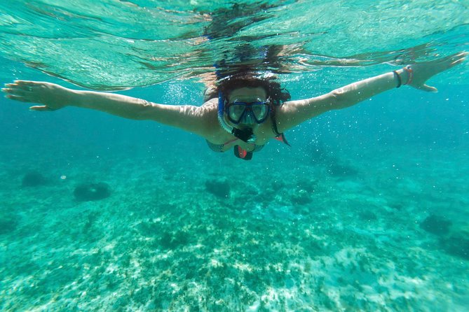Acapulco Snorkeling Tour - Two snorkeling stops and the marine life