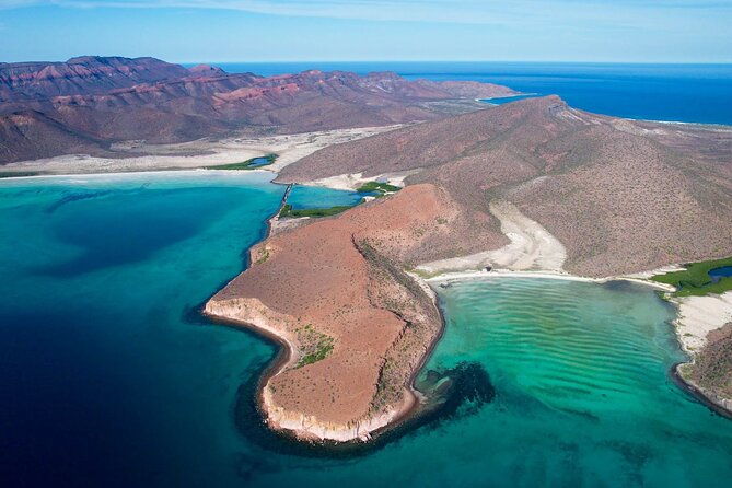 Adventure to Espiritu Santo Island: Snorkel with Sea Lions and Beach - Why the sea lion encounter is worth the boat ride