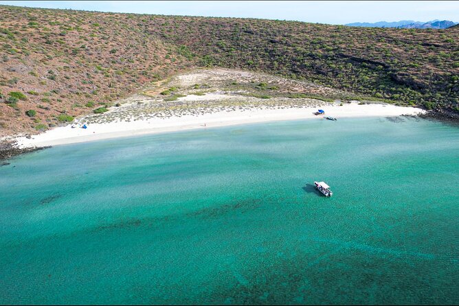 Adventure to Espiritu Santo Island: Snorkel with Sea Lions and Beach - The guide makes the difference