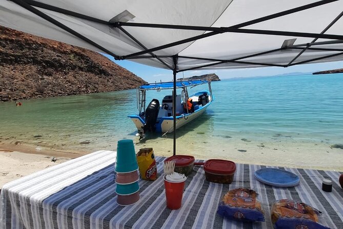 Adventure to Espiritu Santo Island: Snorkel with Sea Lions and Beach - What the 7-hour schedule feels like