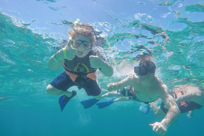 Afternoon Half-Day Catmaran Sailing and Snorkel Adventure - Sailing from Marina Hacienda del Mar at 12:30 p.m.
